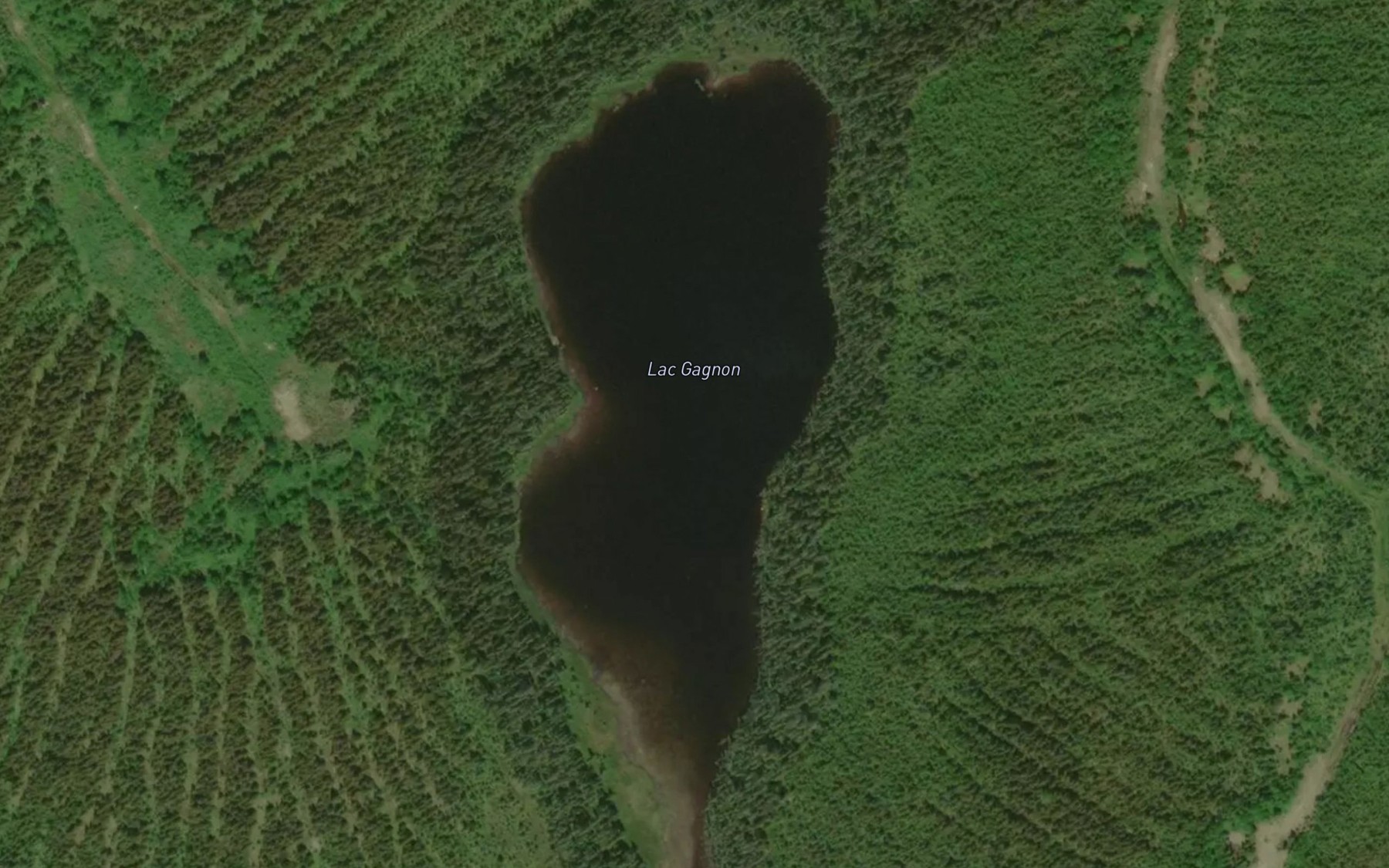 Satellite map of the Lac Gagnon