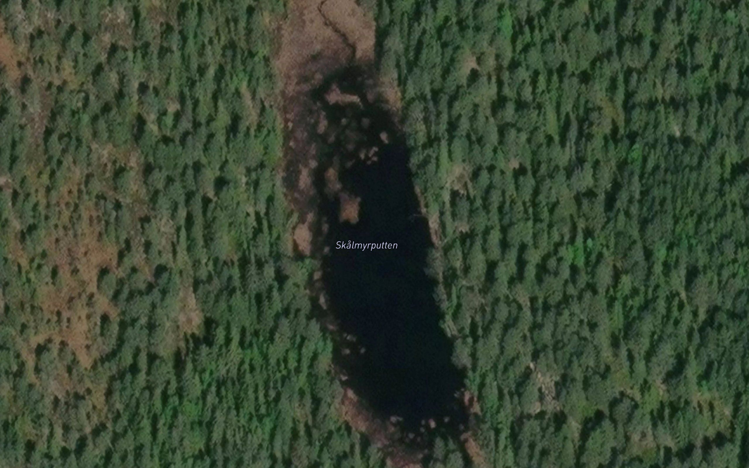 Skalmyrputten