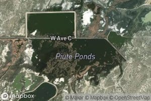 Piute Ponds