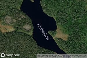 Kalliojarvi