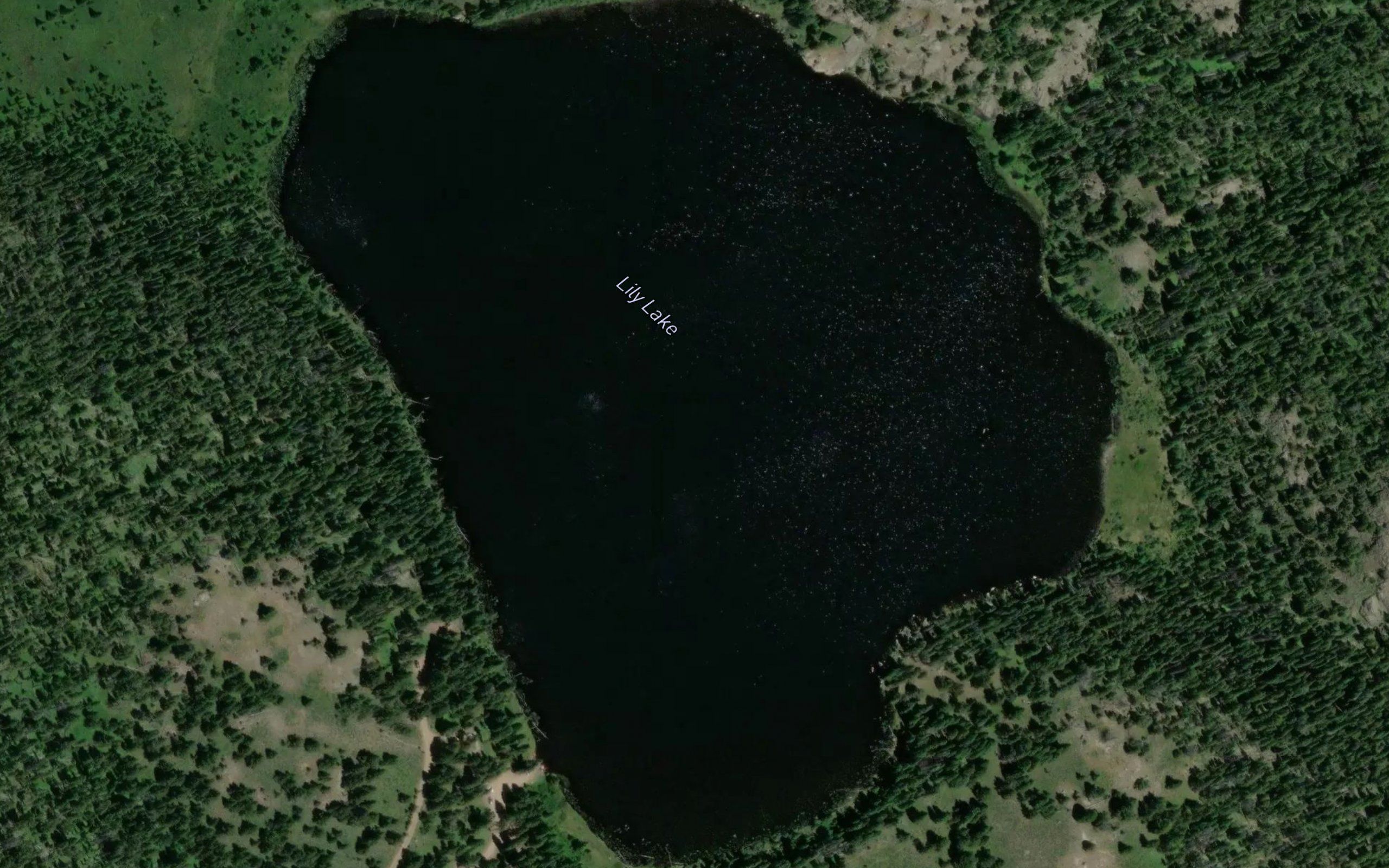 Lily Lake