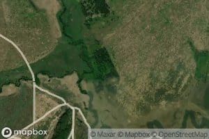 Polevaya Verkusha