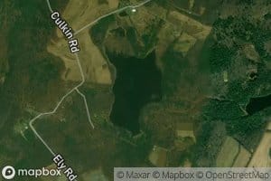 Beaver Pond