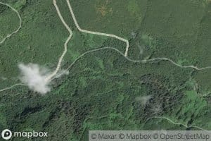 North Fork West Branch Wynoochee River