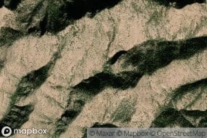 Tea Bag Springs Number One