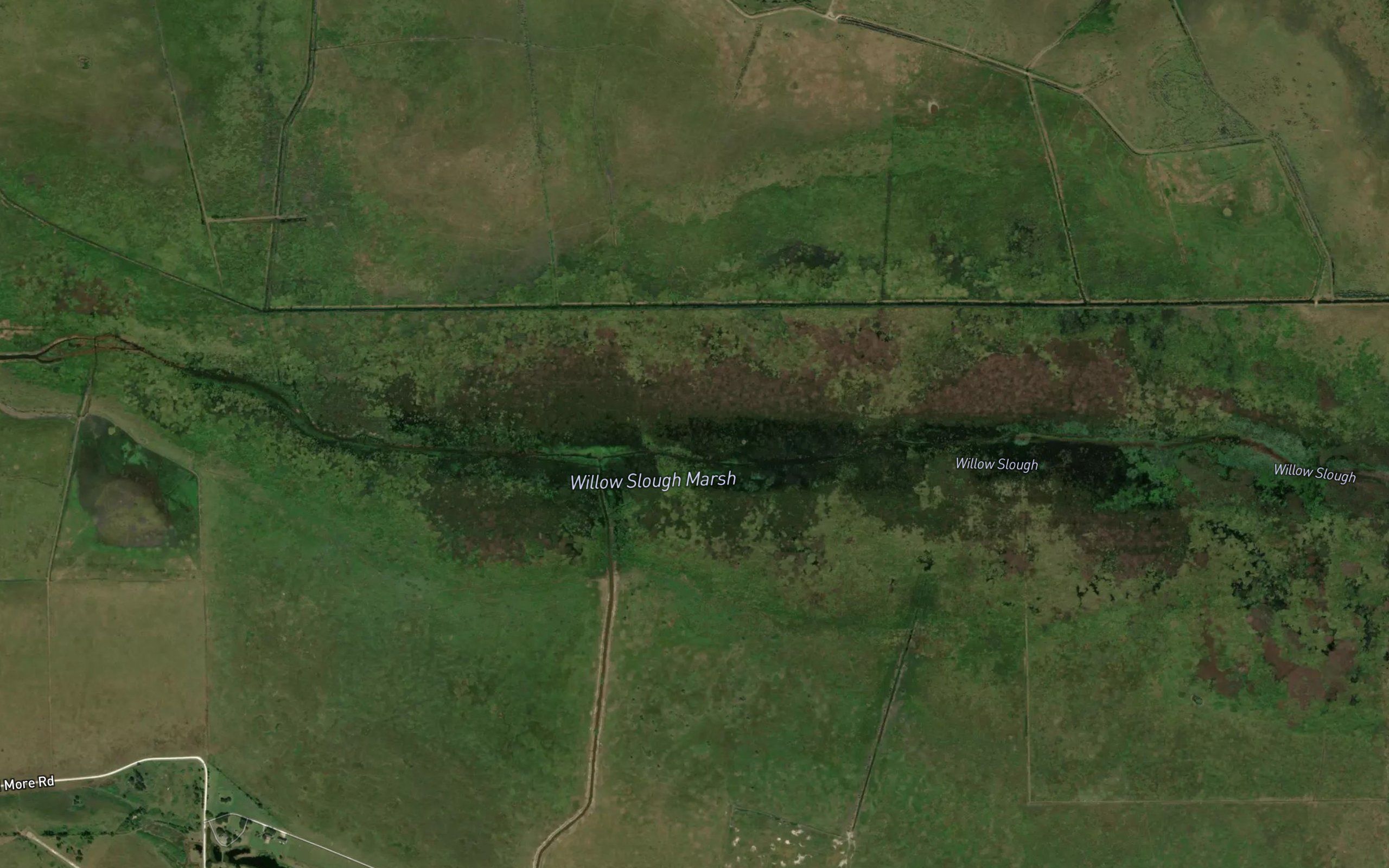 Willow Slough Marsh