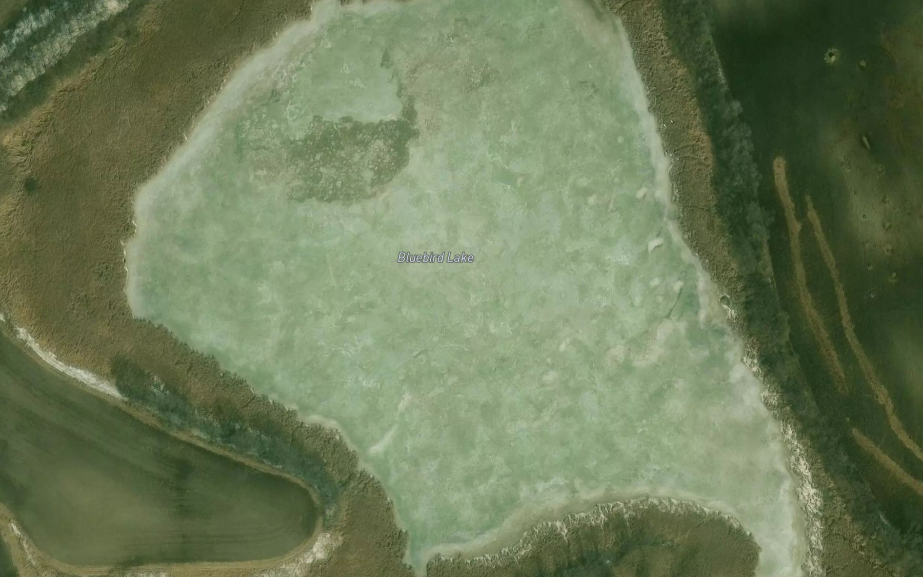 Satellite map of the Bluebird Lake