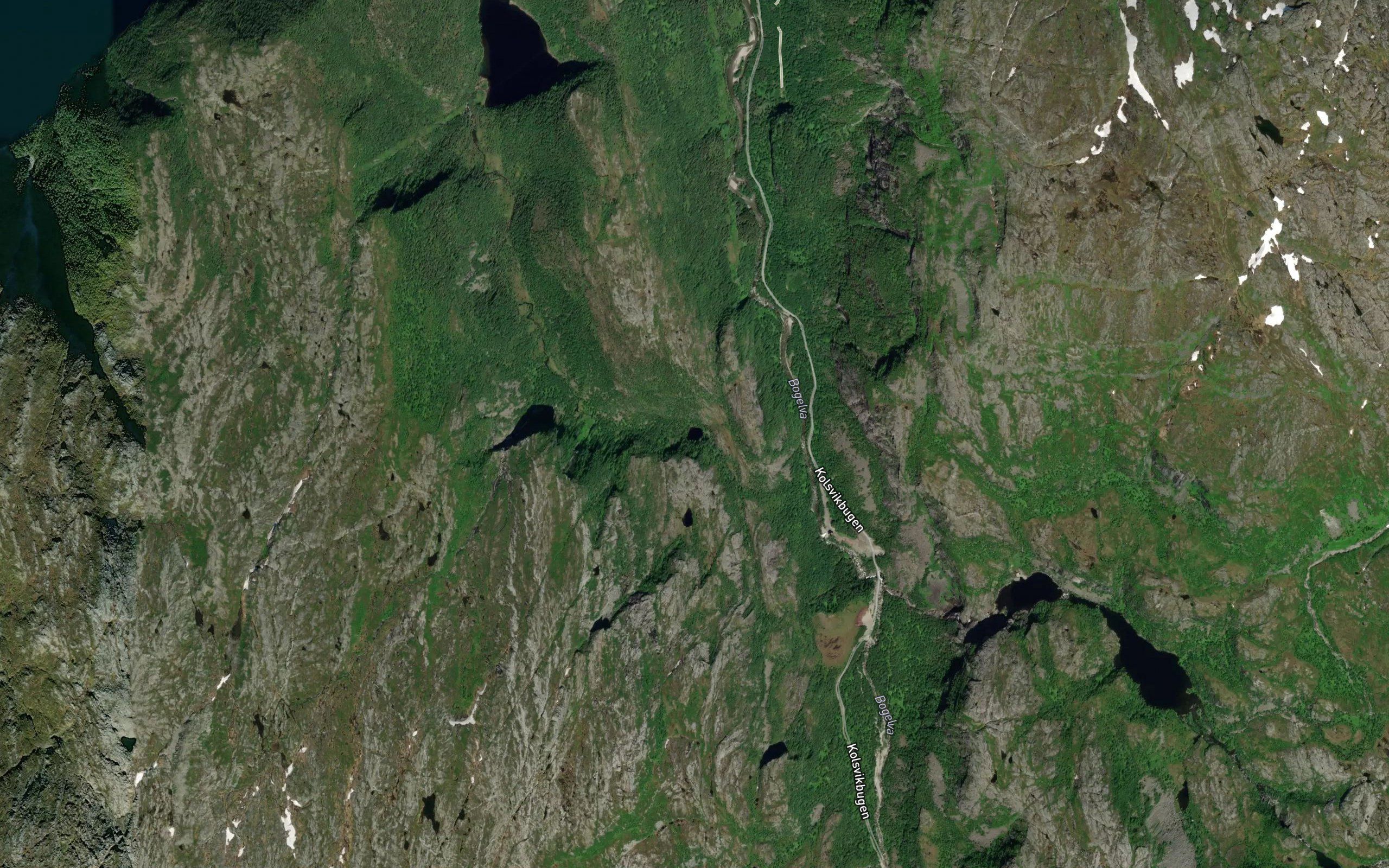 Svarttjonna