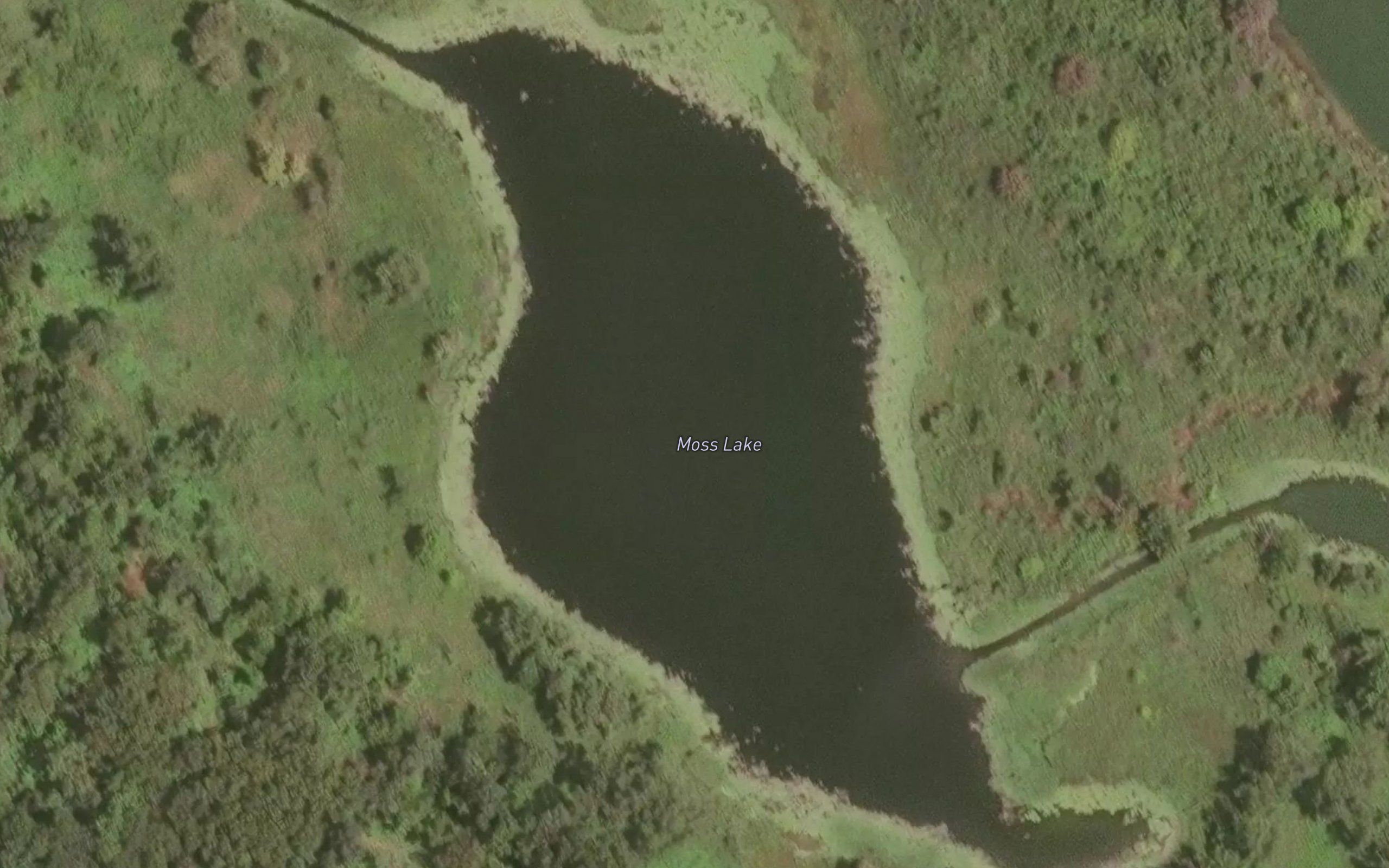 Moss Lake