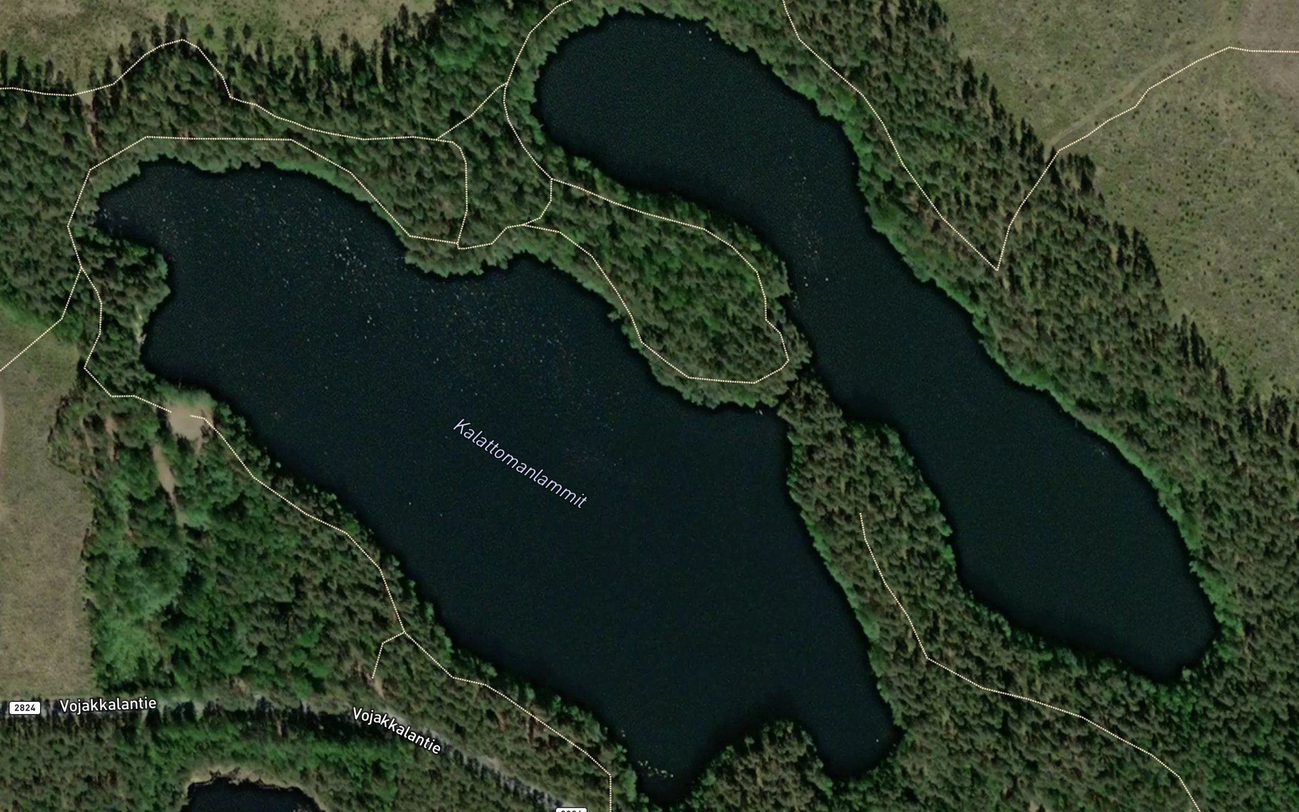 Kalattomanlammit