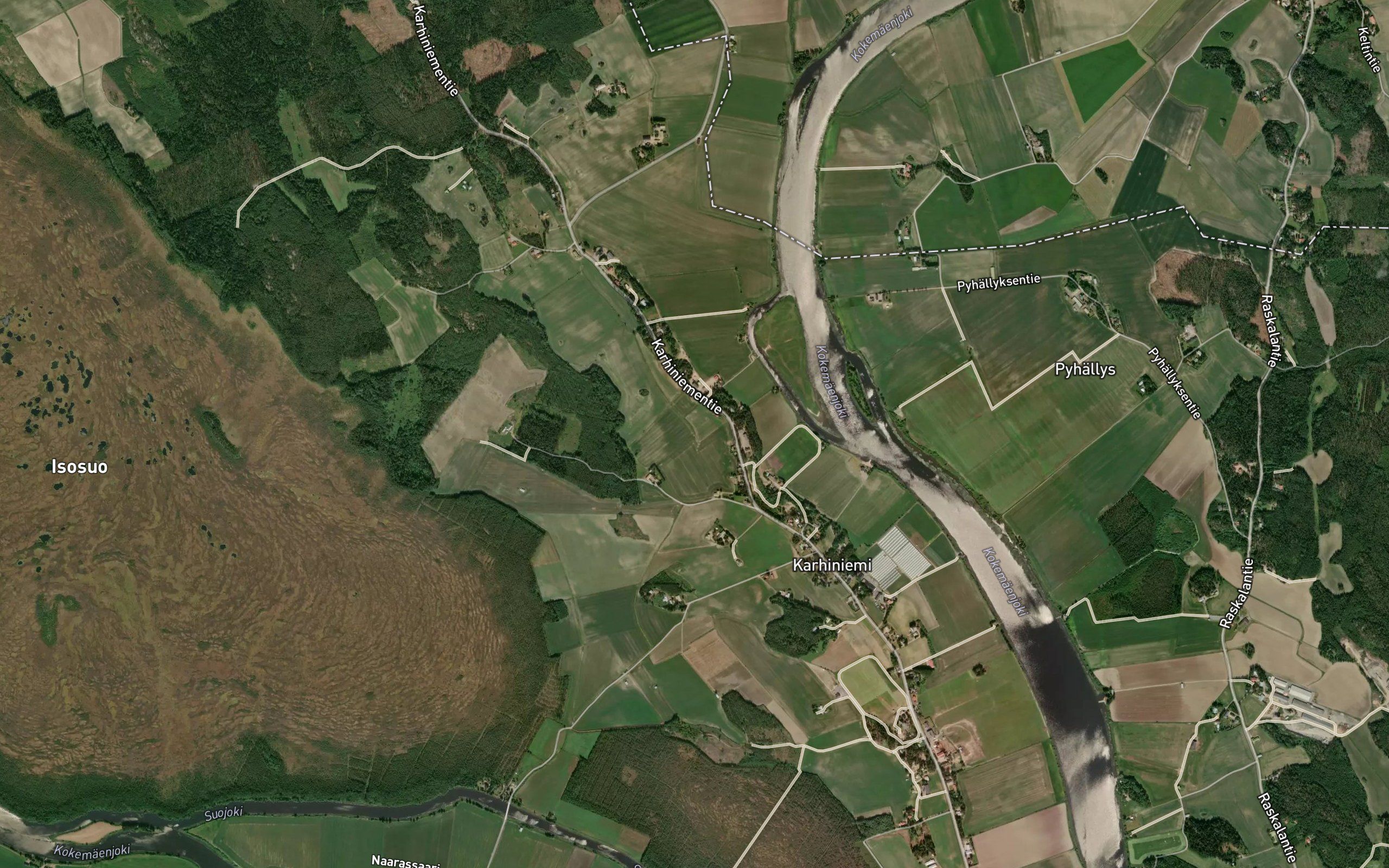 Salikanoja