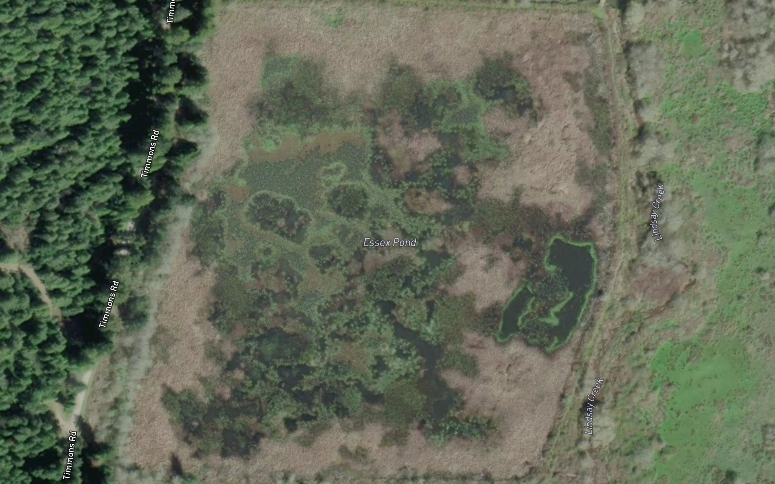 Essex Pond
