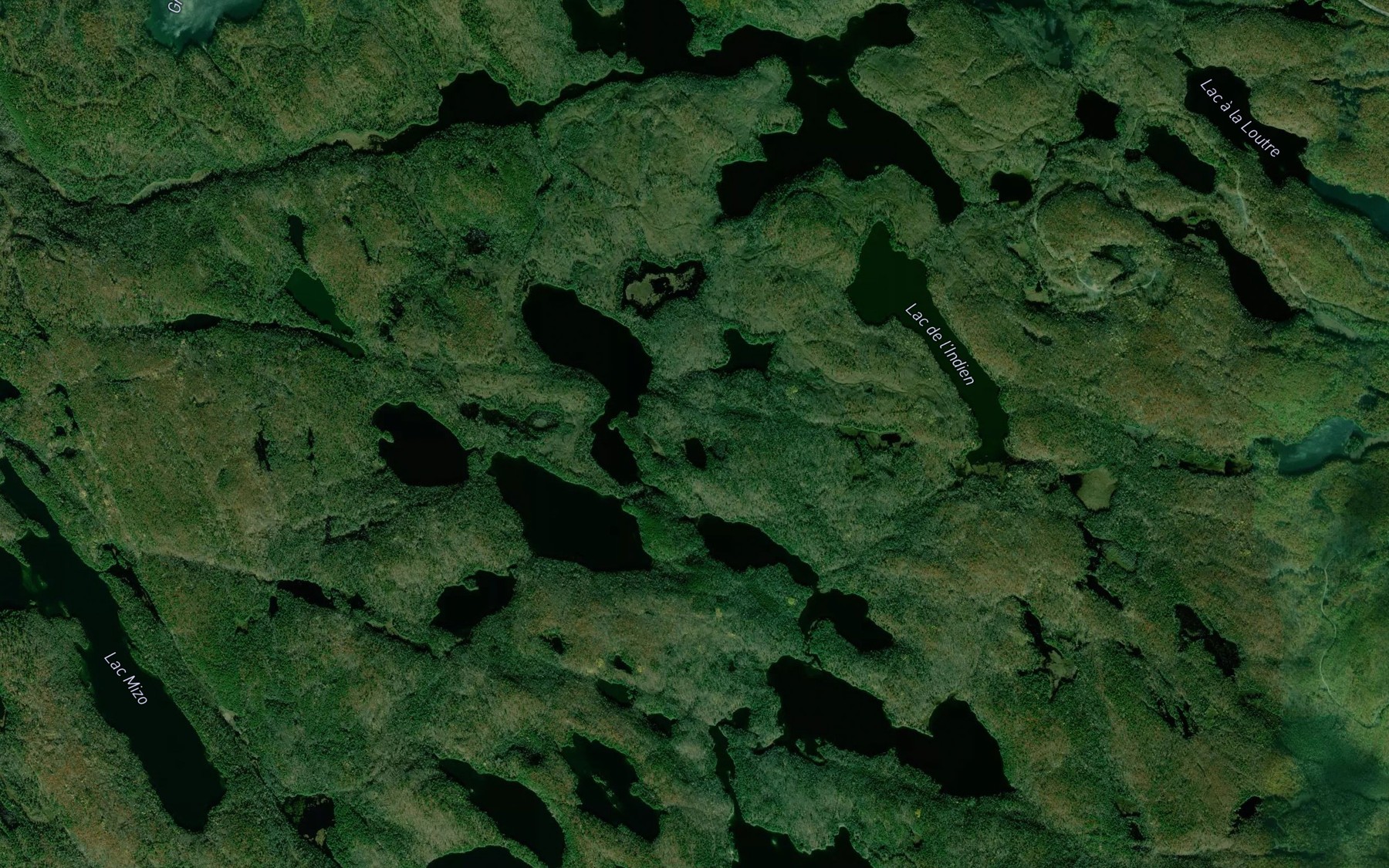 Satellite map of the Lac a la Tortue