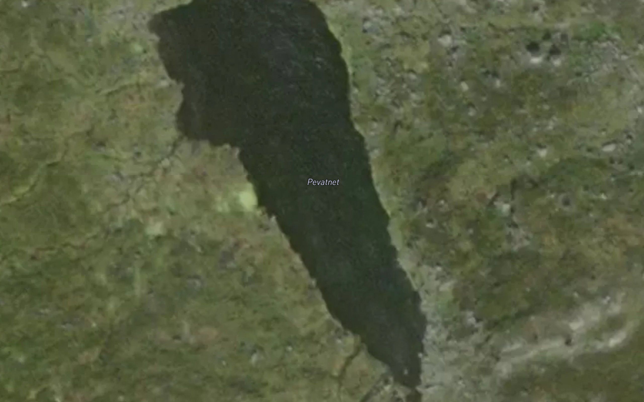 Pevatnet