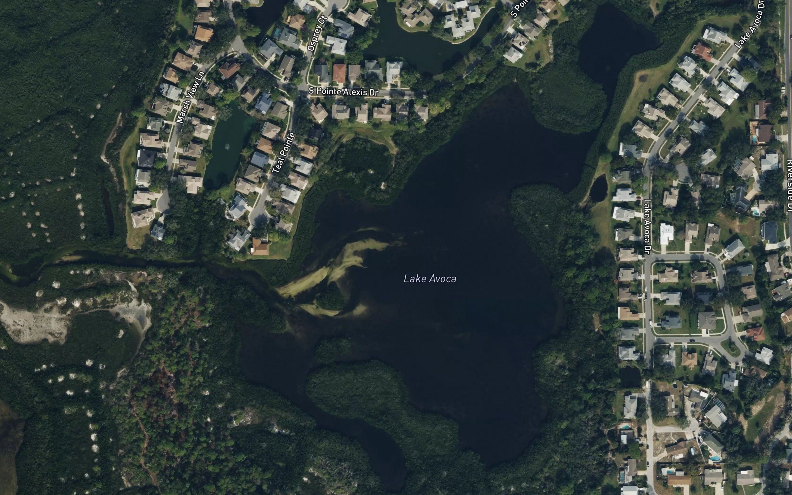 Lake Avoca