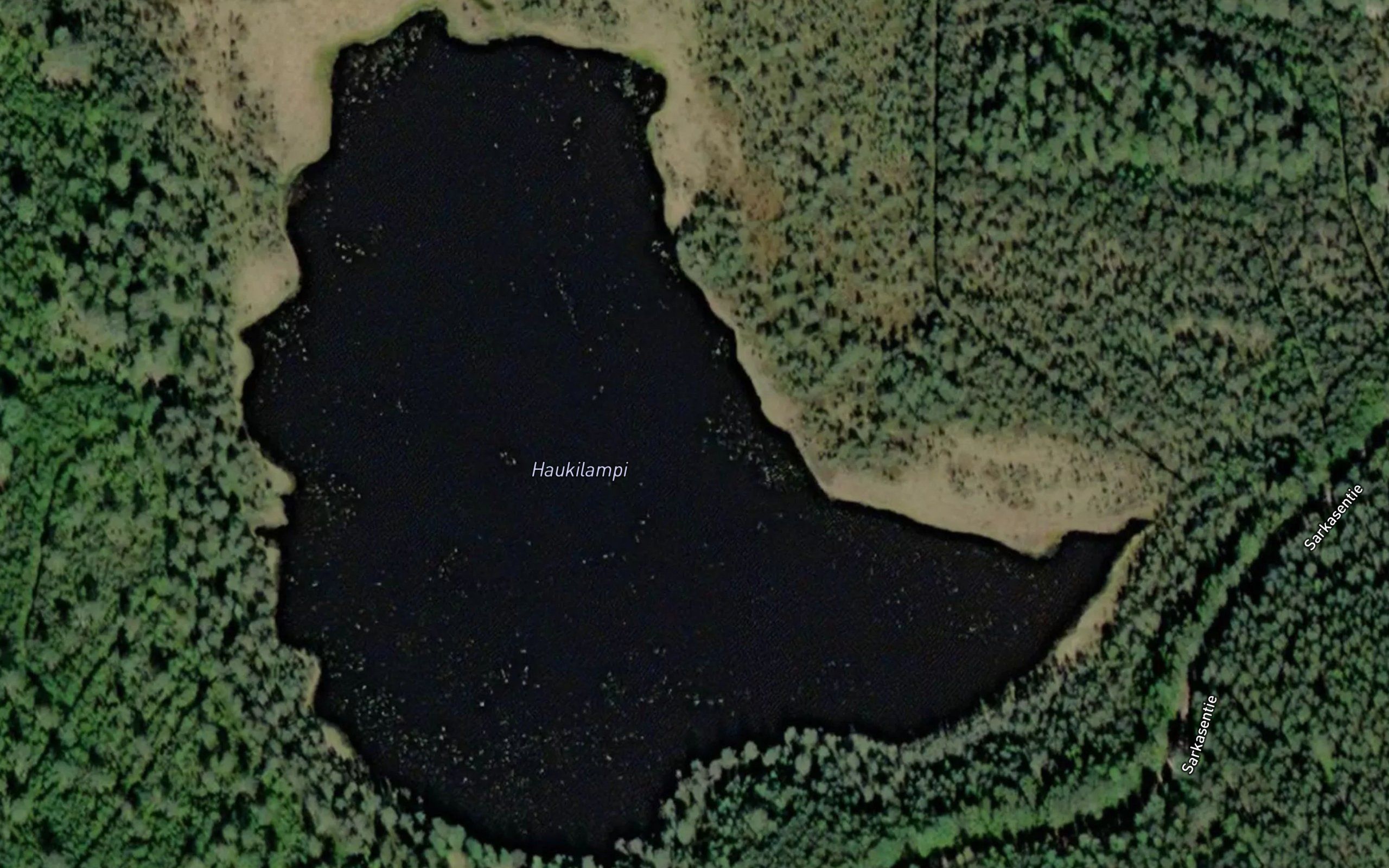 Haukilampi
