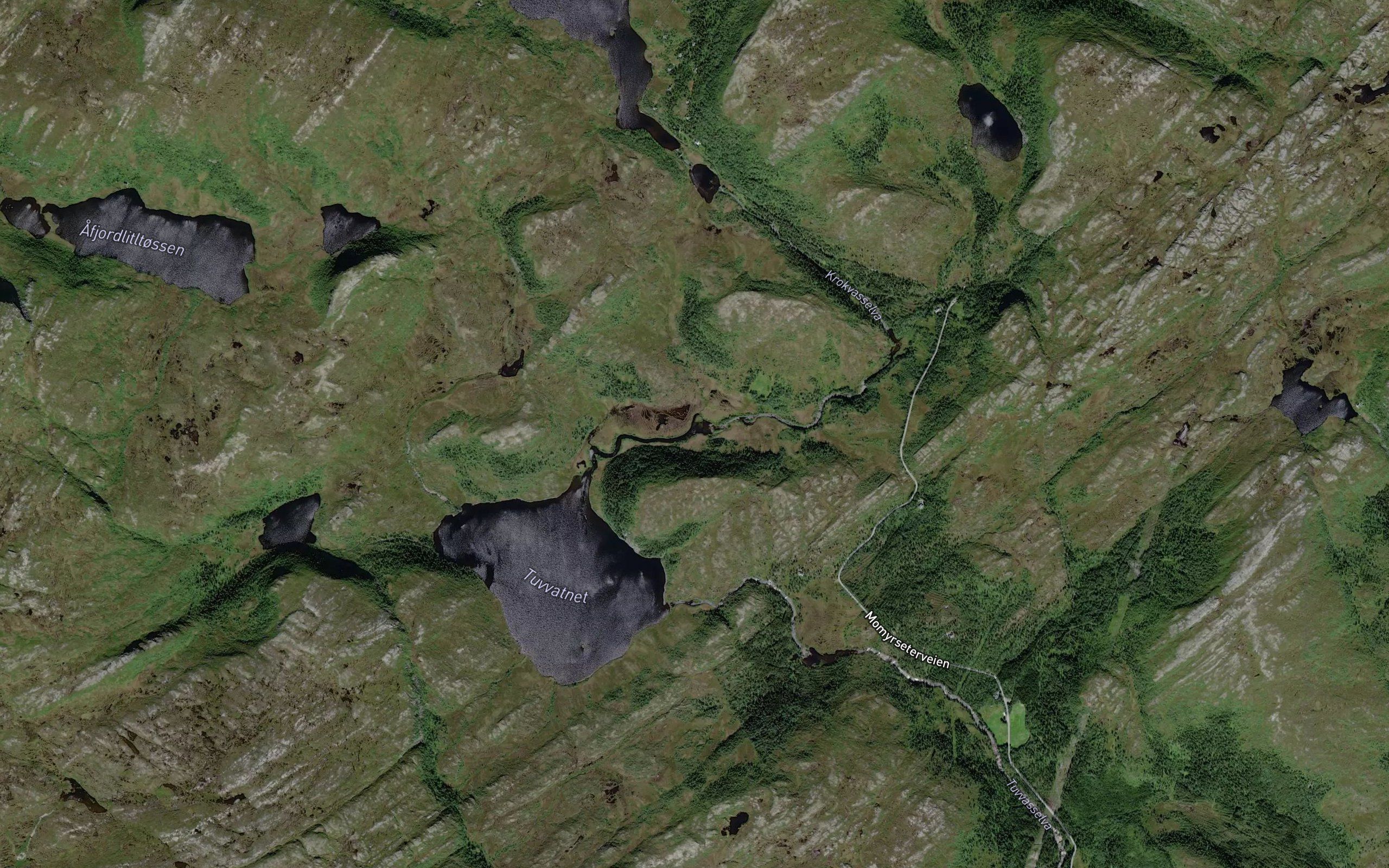 Krokvasselva