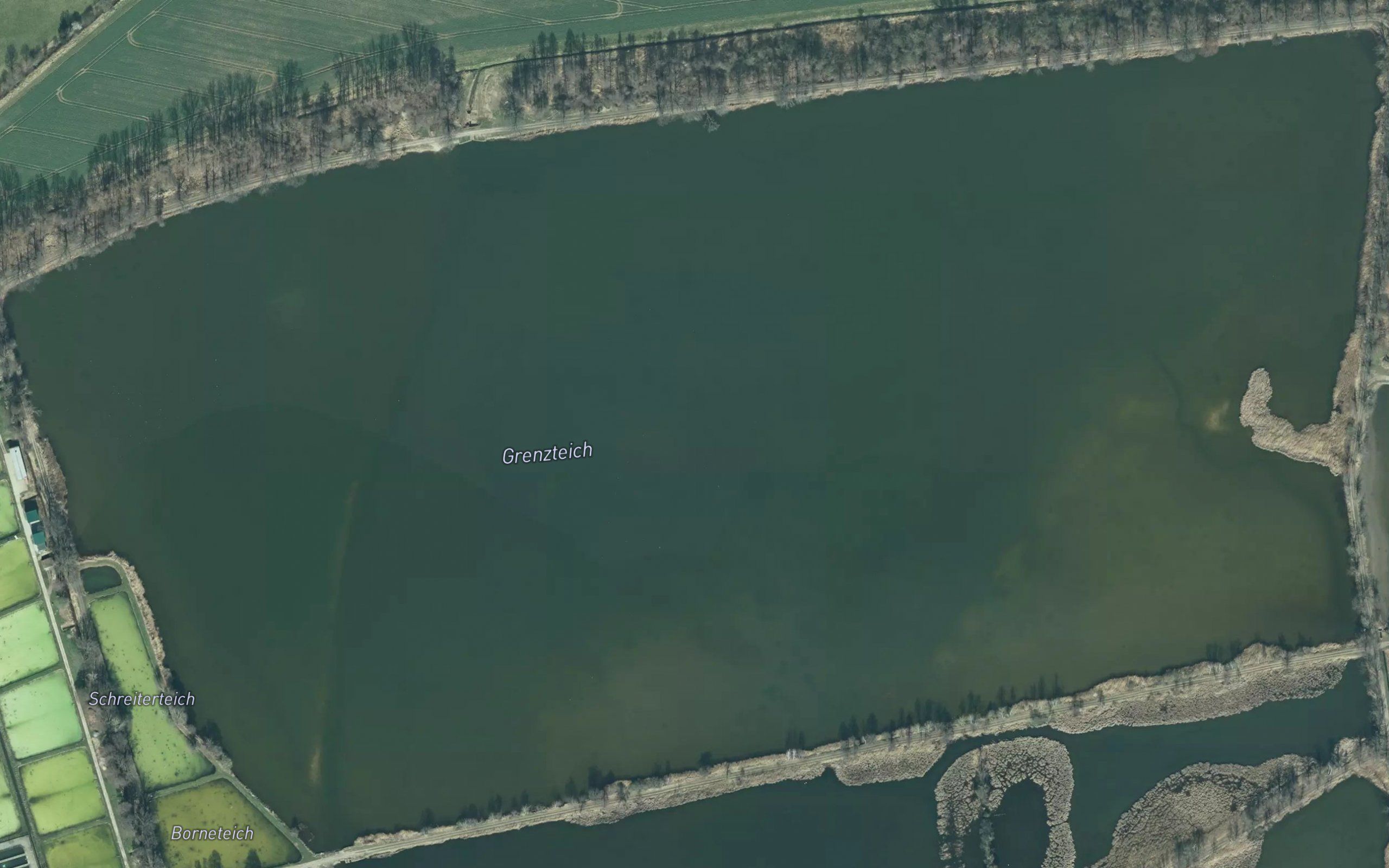 Grosser Grenzteich
