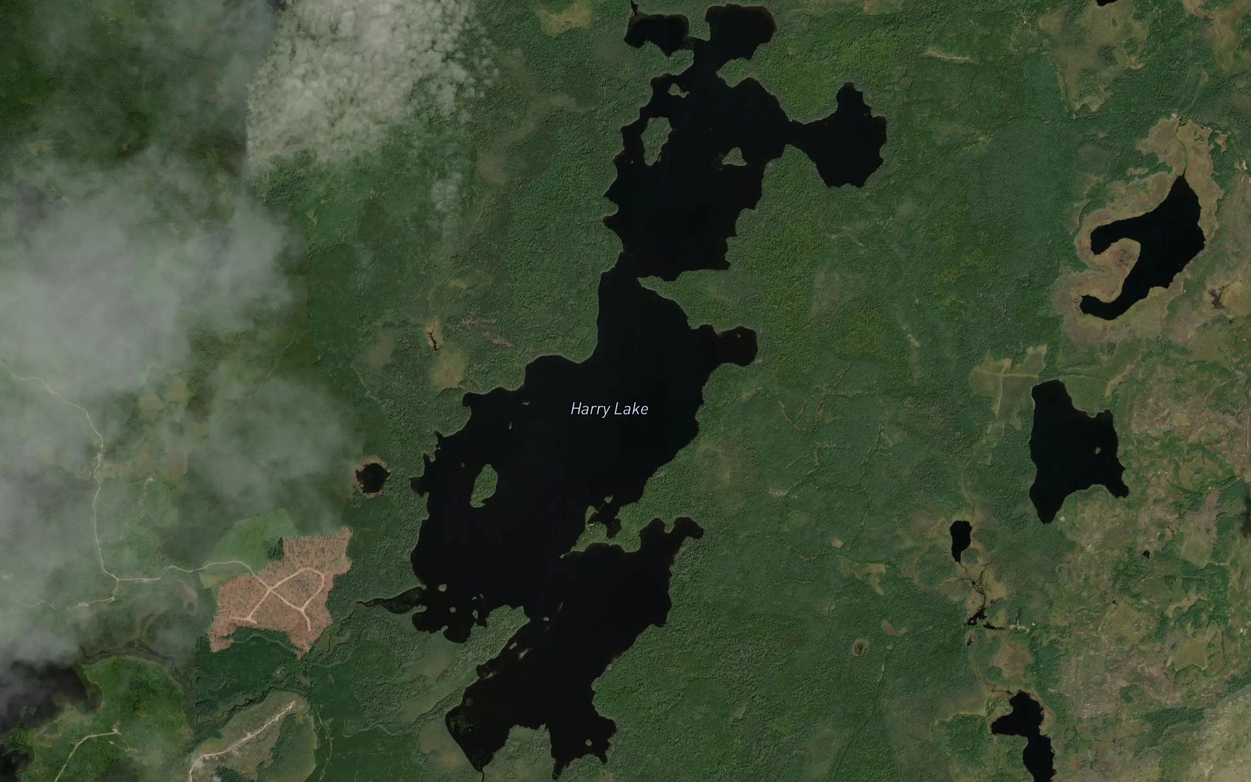 Harry Lake