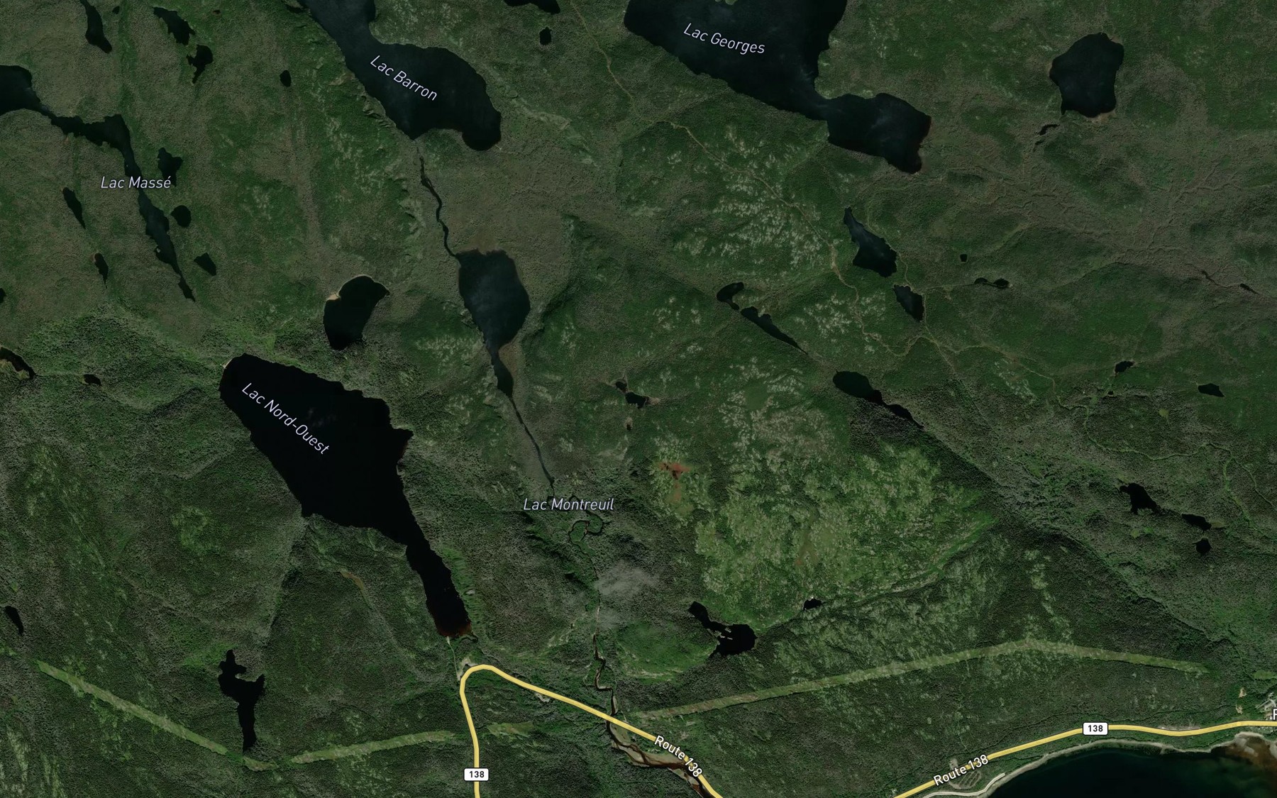 Satellite map of the Lac de la Tour