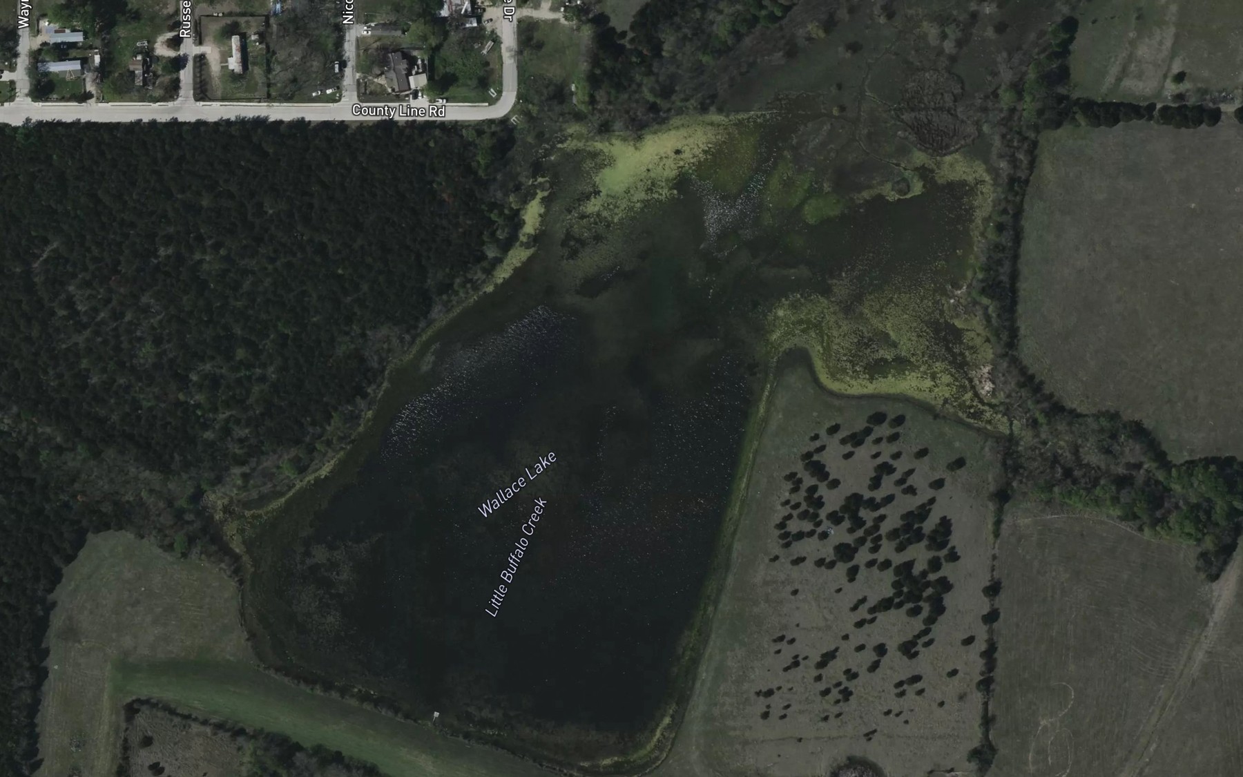 Satellite map of the Wallace Lake