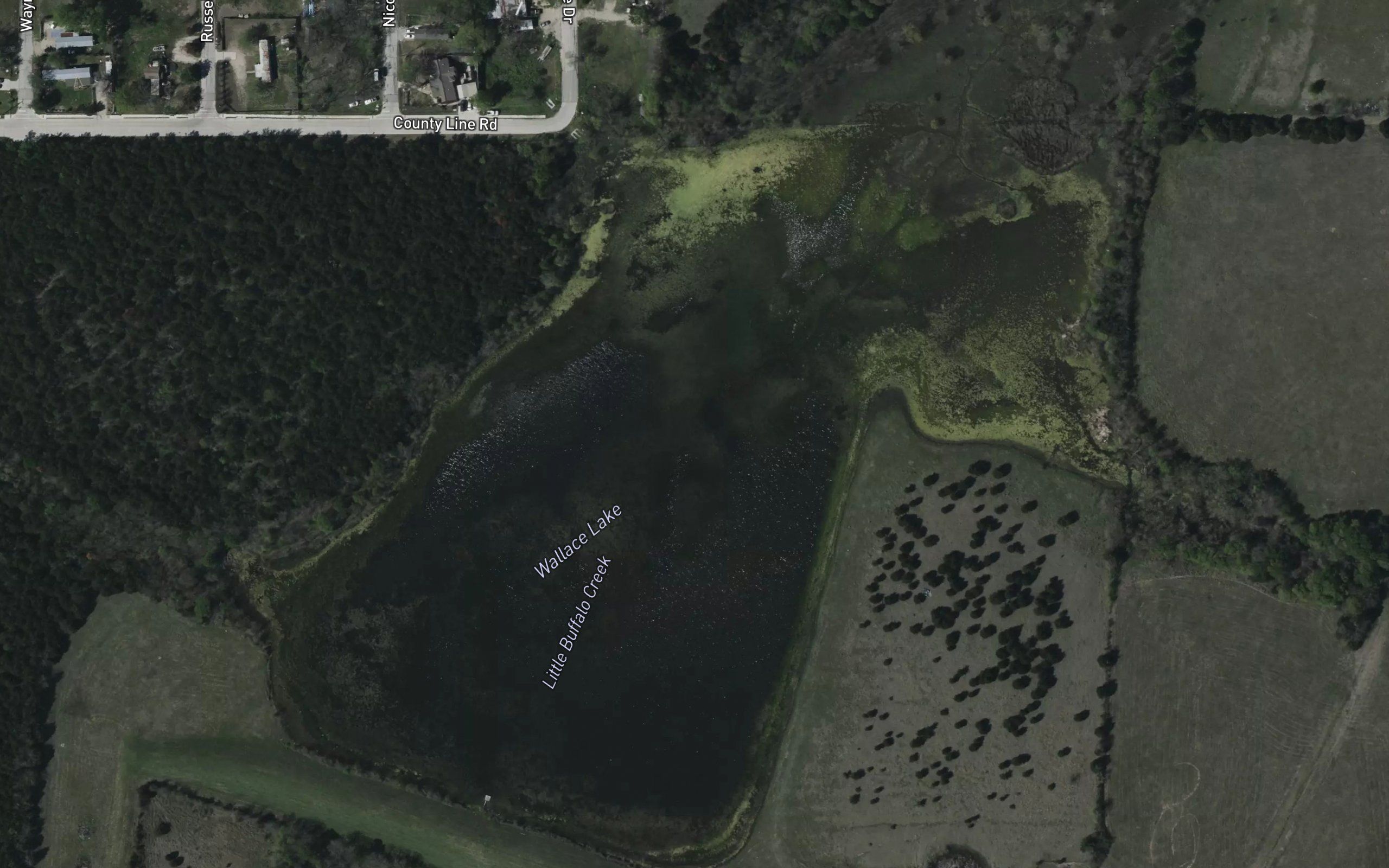 Wallace Lake