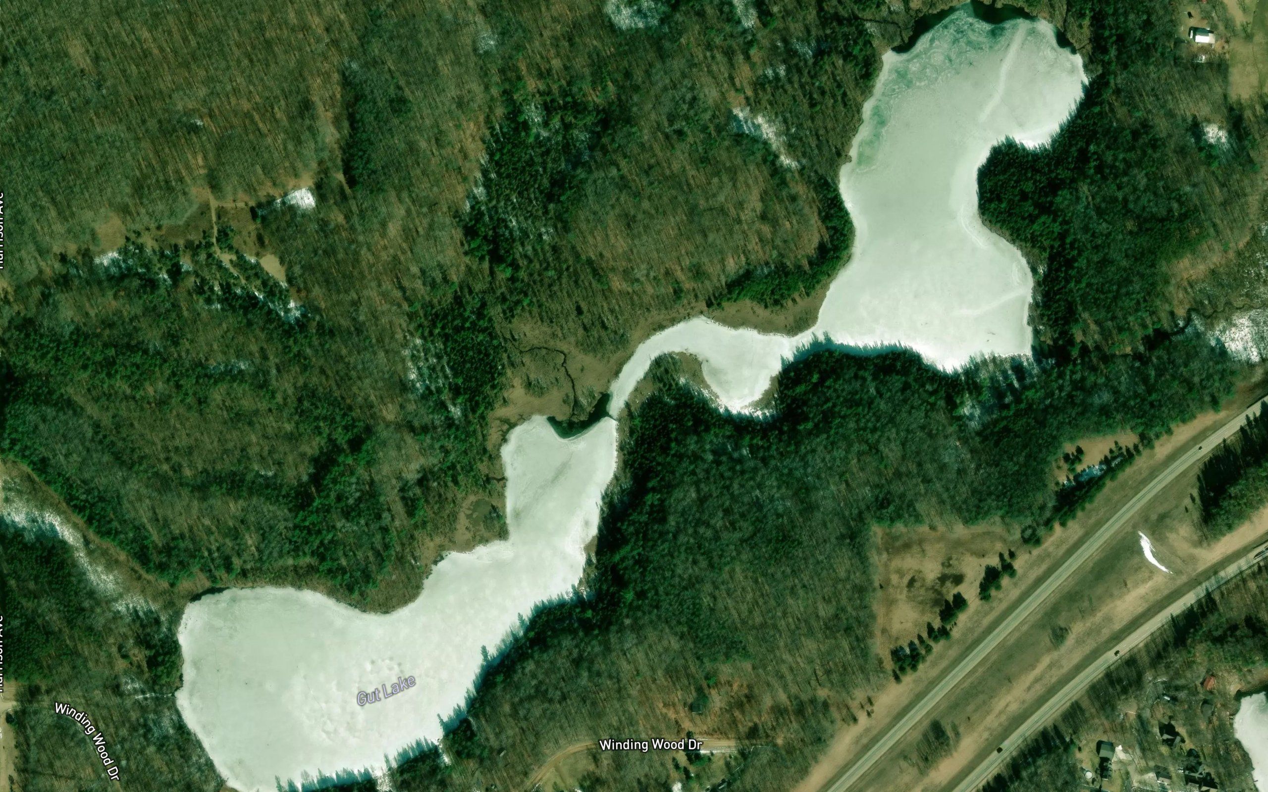 Gut Lake