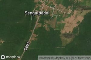 Chenkappadai Kulam