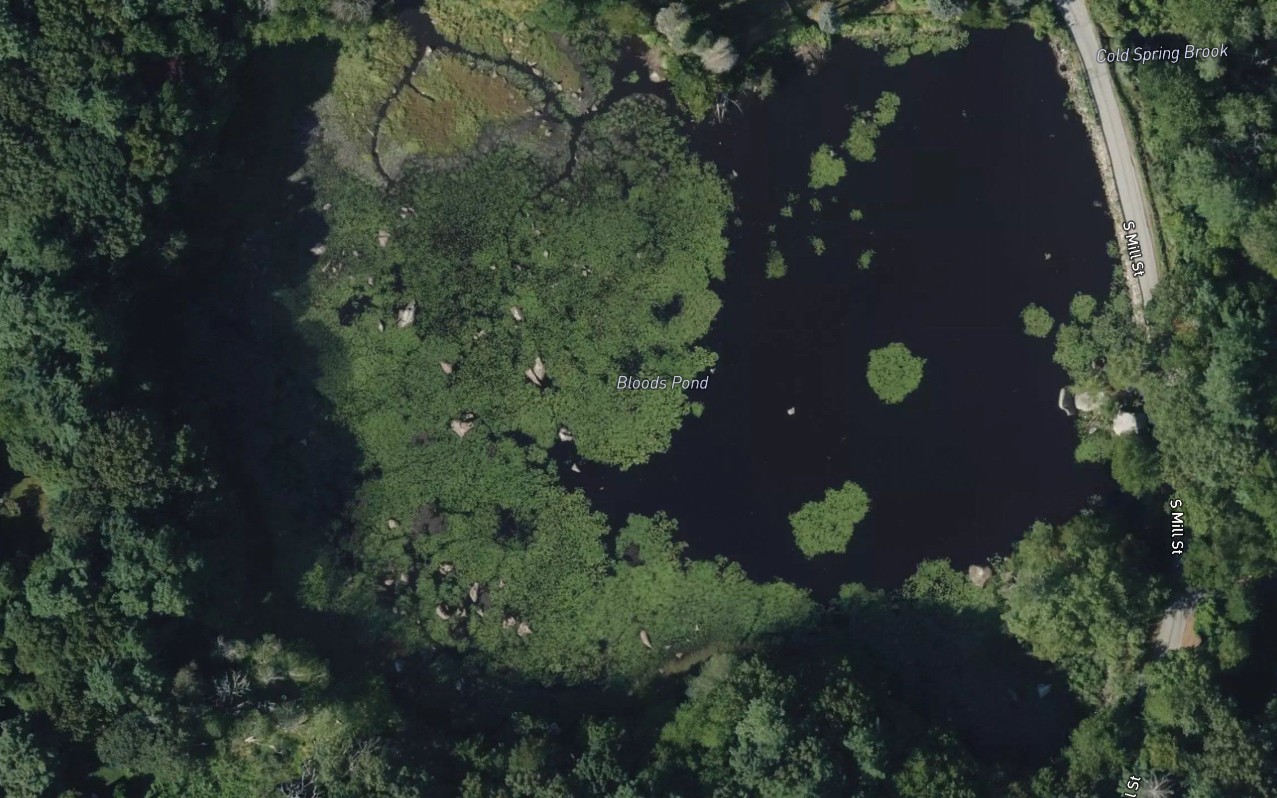 Bloods Pond