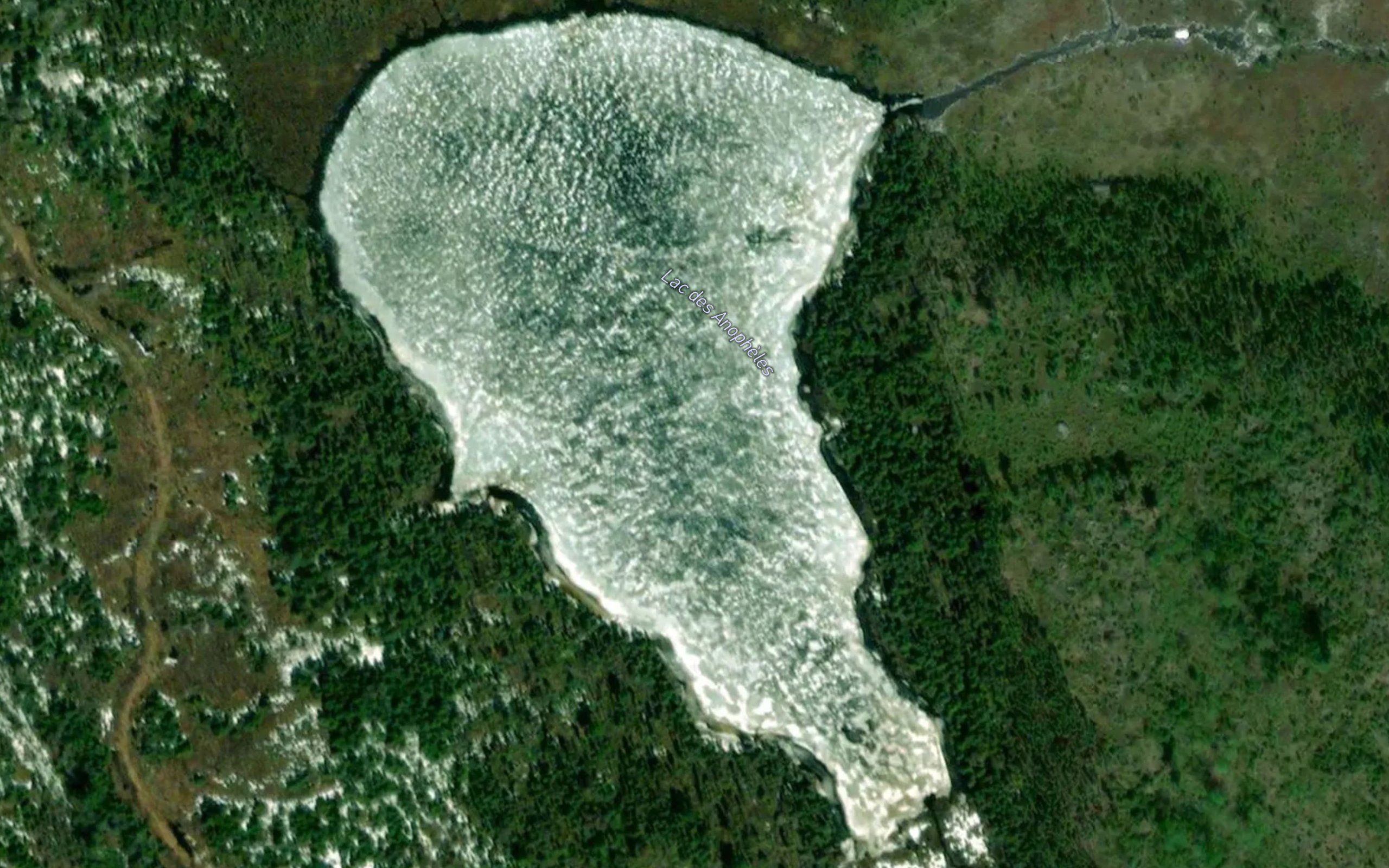 Lac des Anopheles