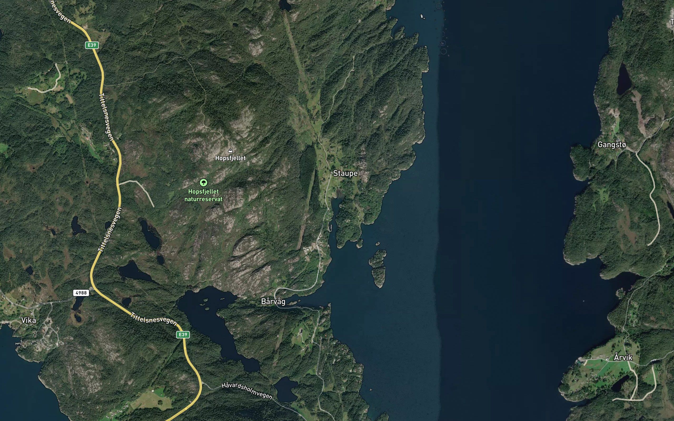 Staupevika