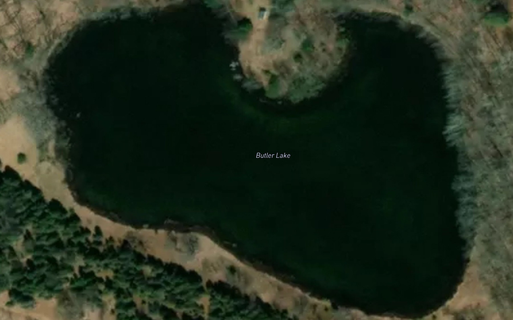 Satellite map of the Butler Lake