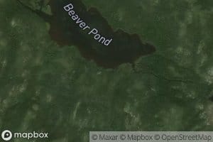 Beaver Pond