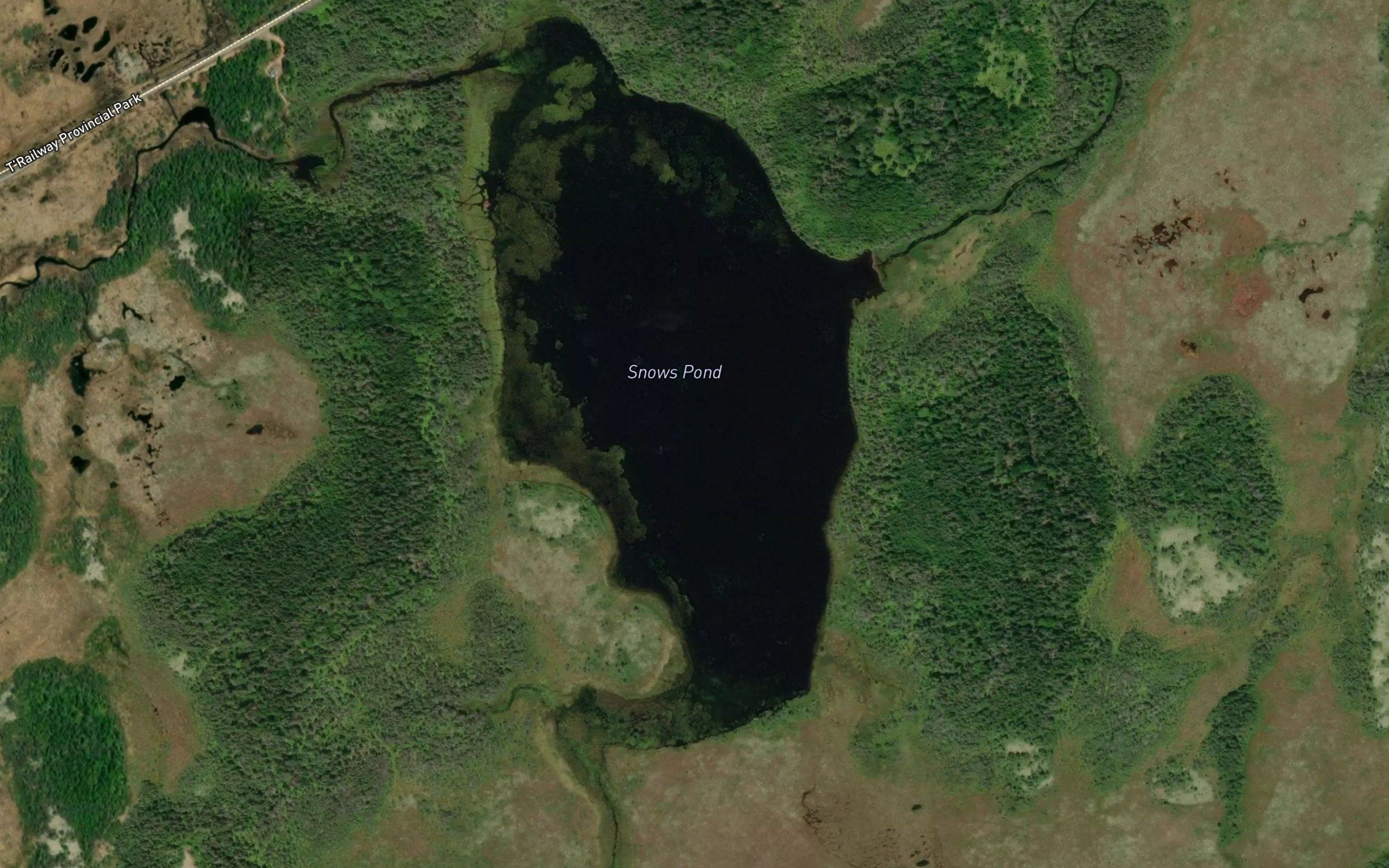 Snows Pond