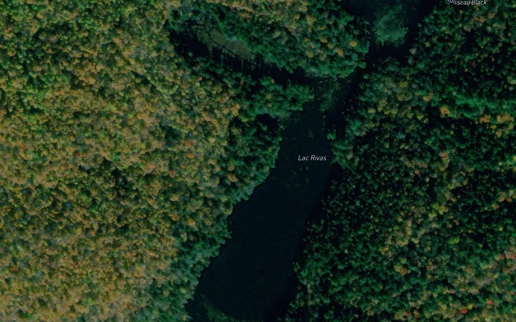 Satellite map of the Lac Rivas