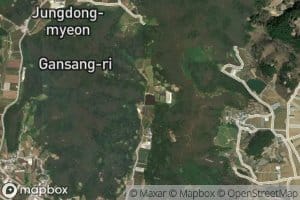 Wondal-chi