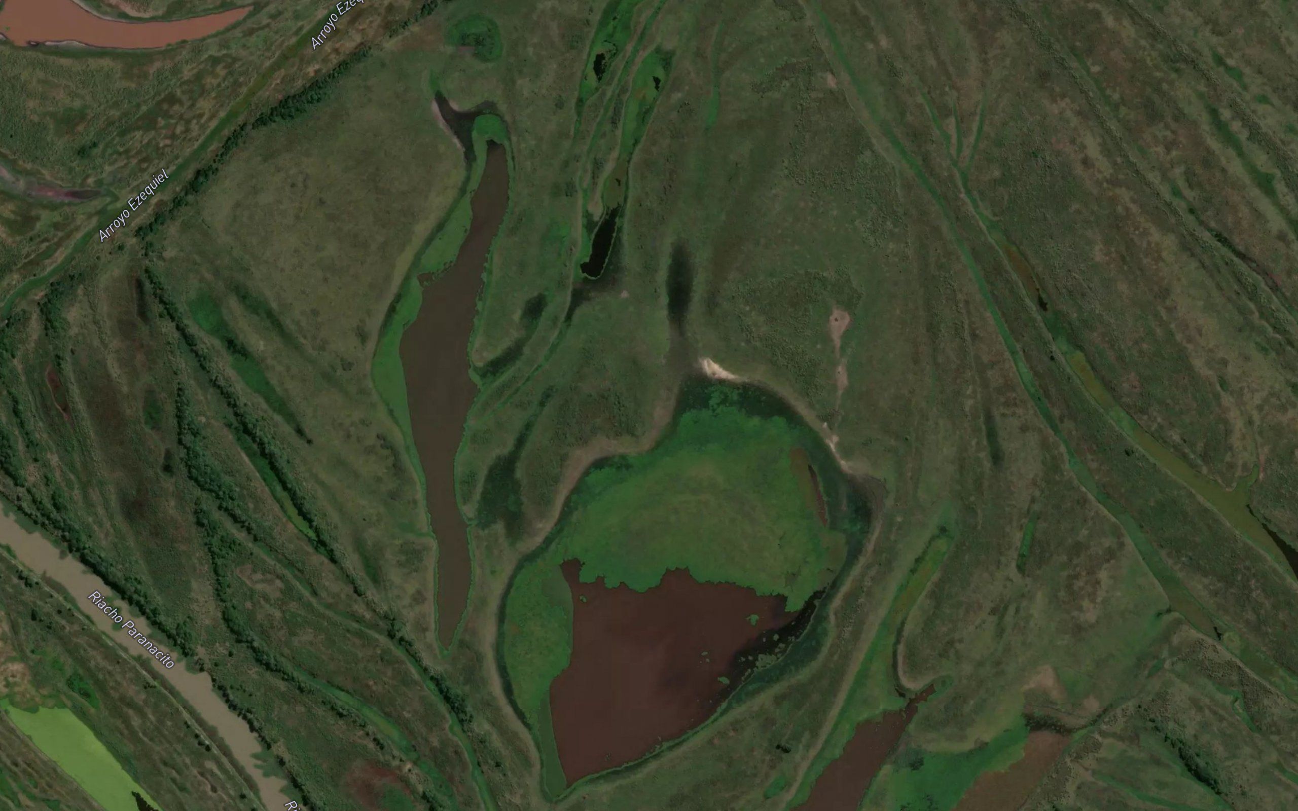 Laguna de los Chanchos