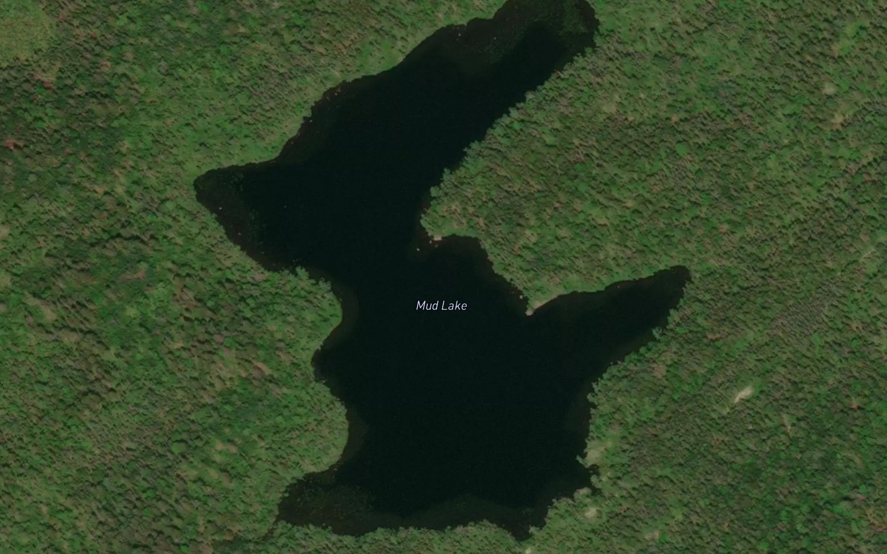 Satellite map of the Mud Lake