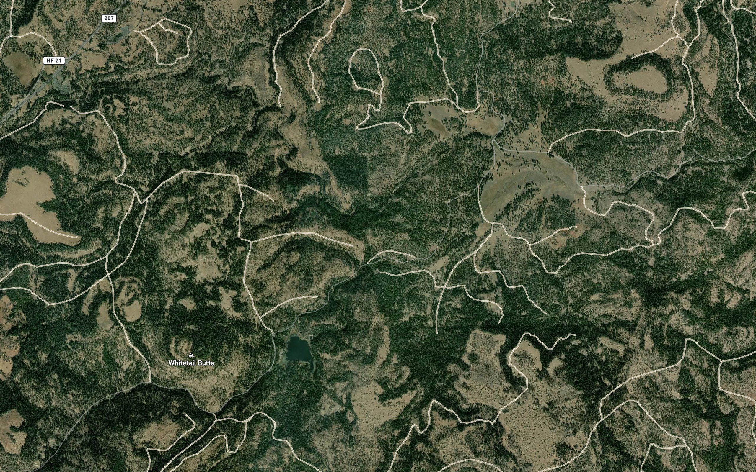 Gilman Spring