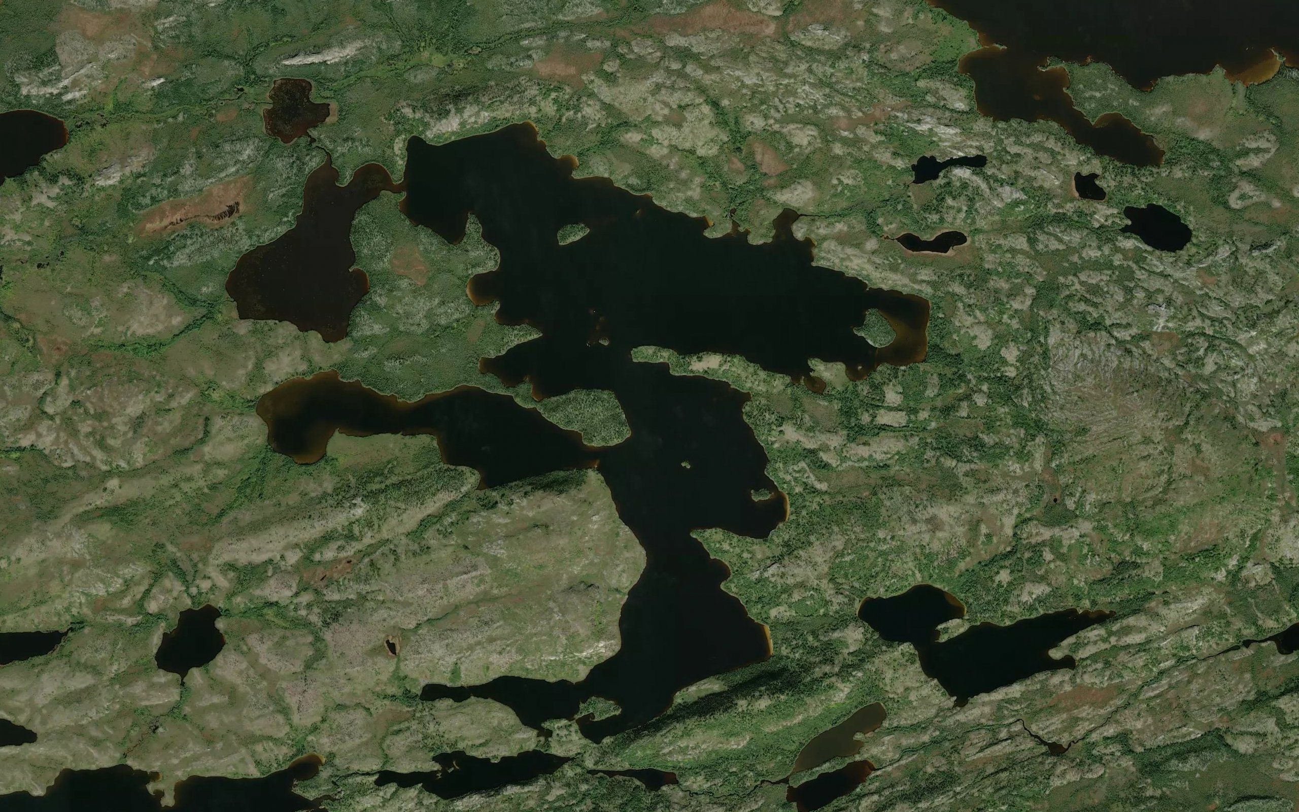 Lac Kawasitauchitin