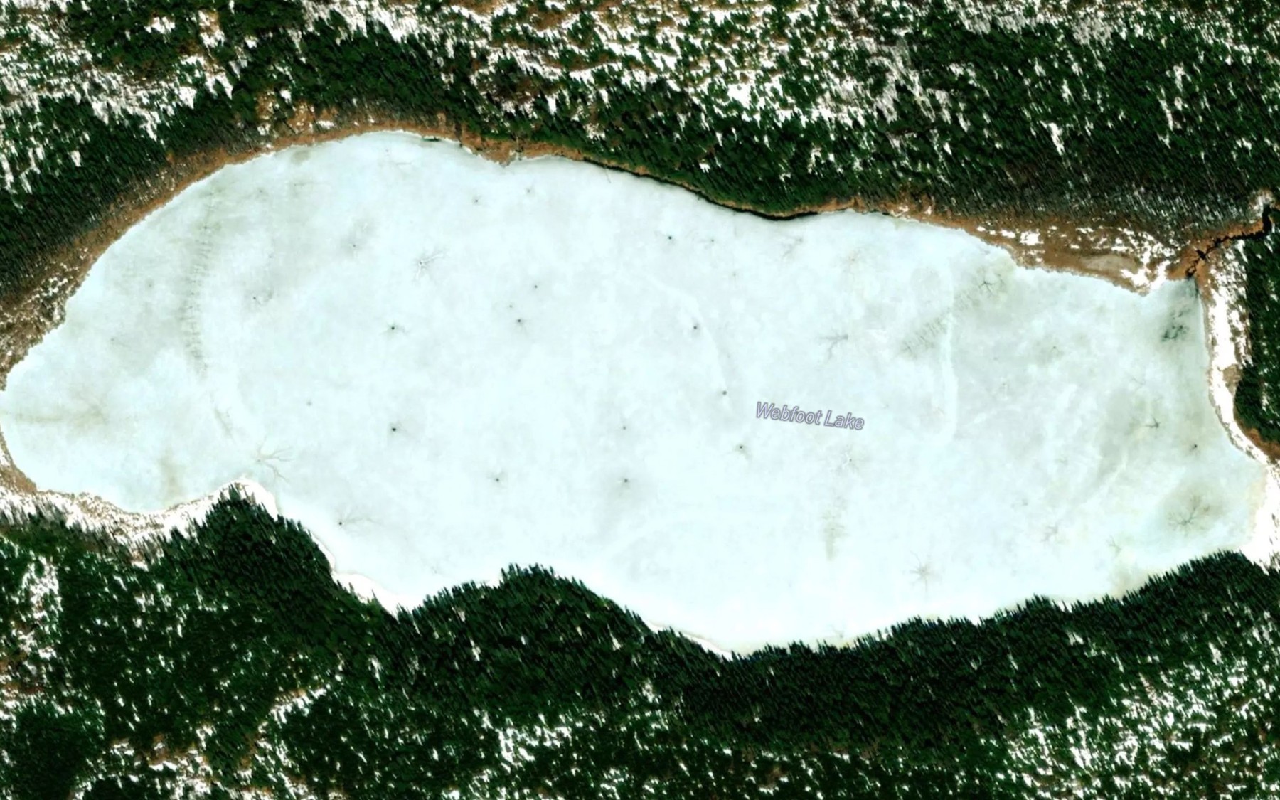 Satellite map of the Webfoot Lake