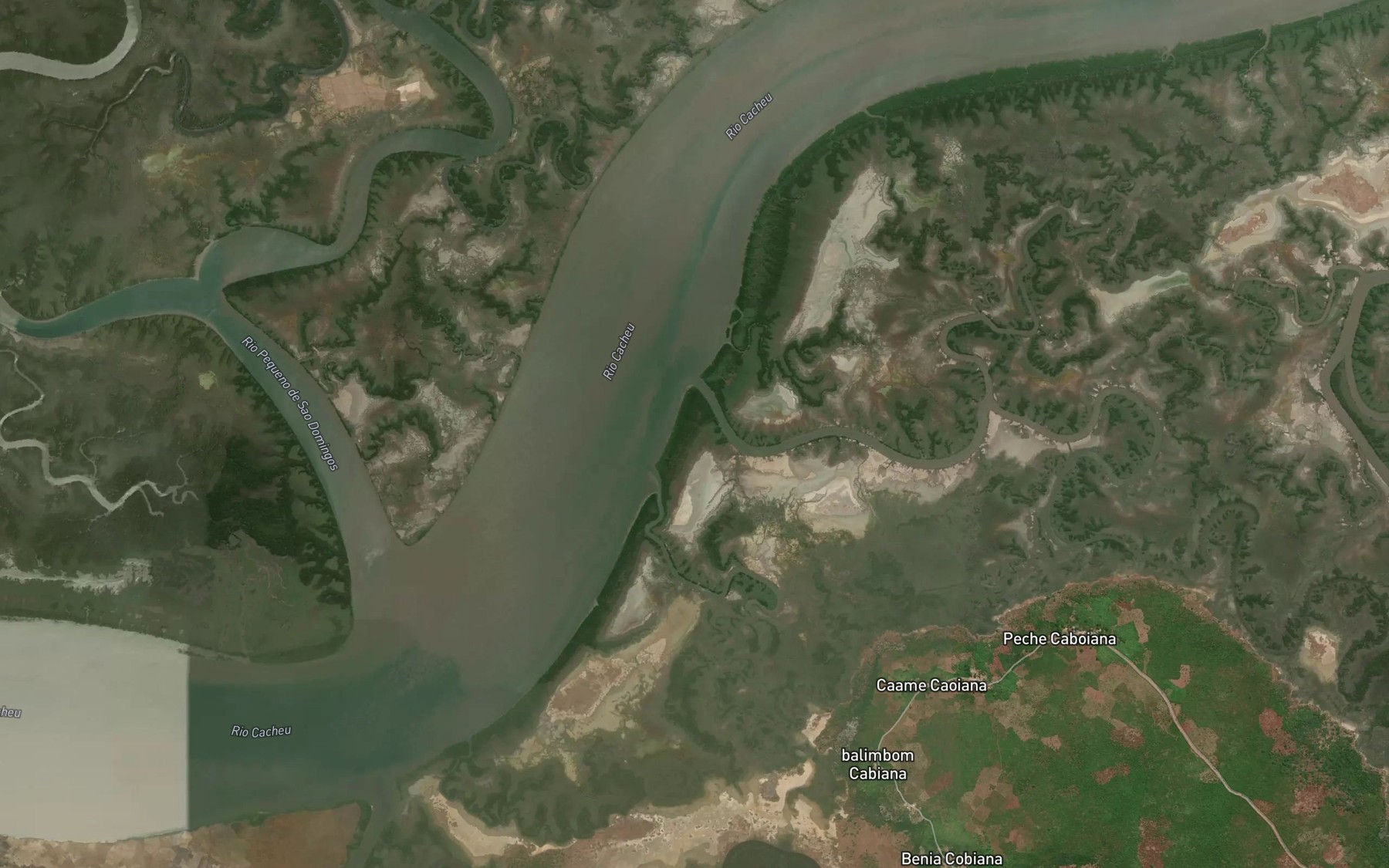 Satellite map of the Rio Caboiana