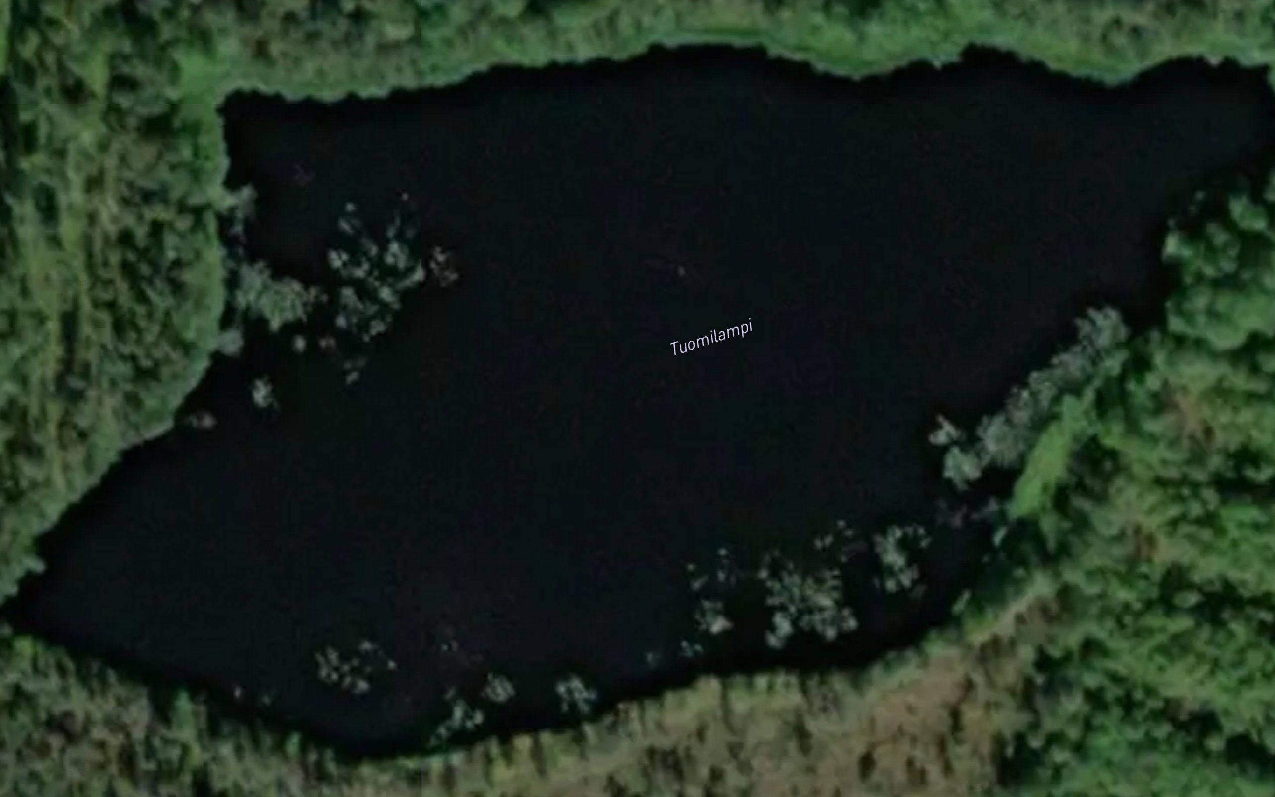 Tuomilampi