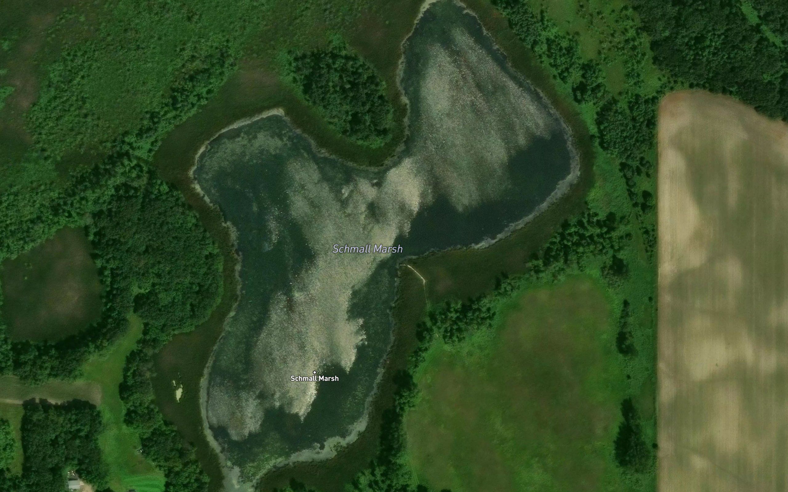 Schmall Marsh