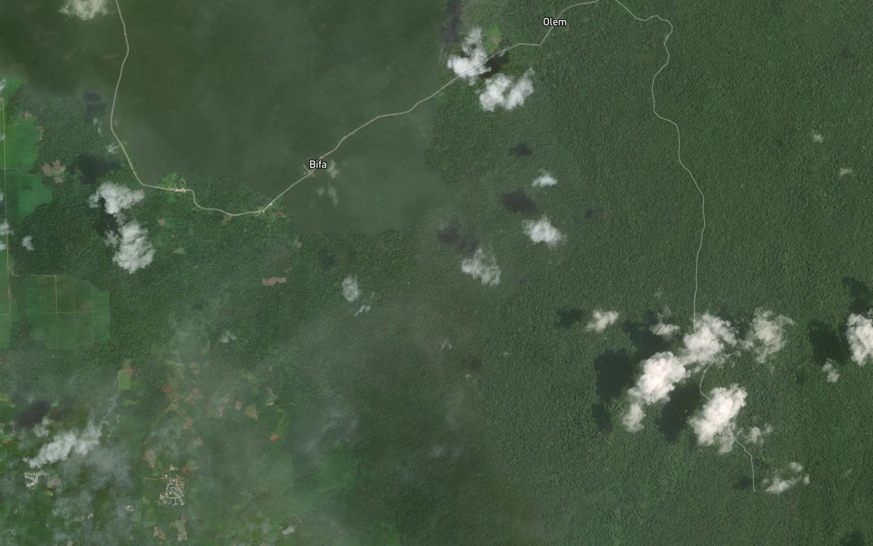 Satellite map of the Bissono