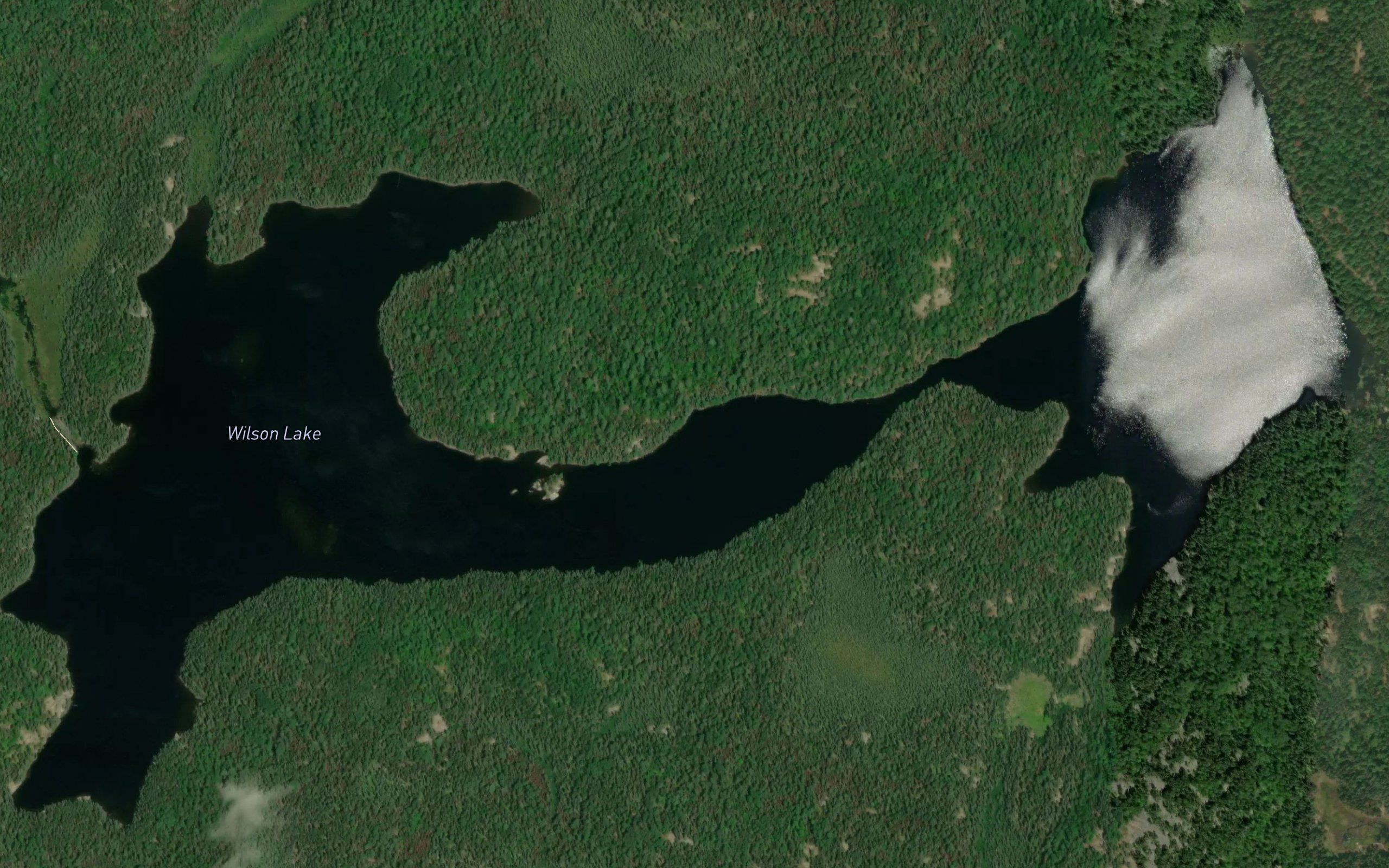 Wilson Lake