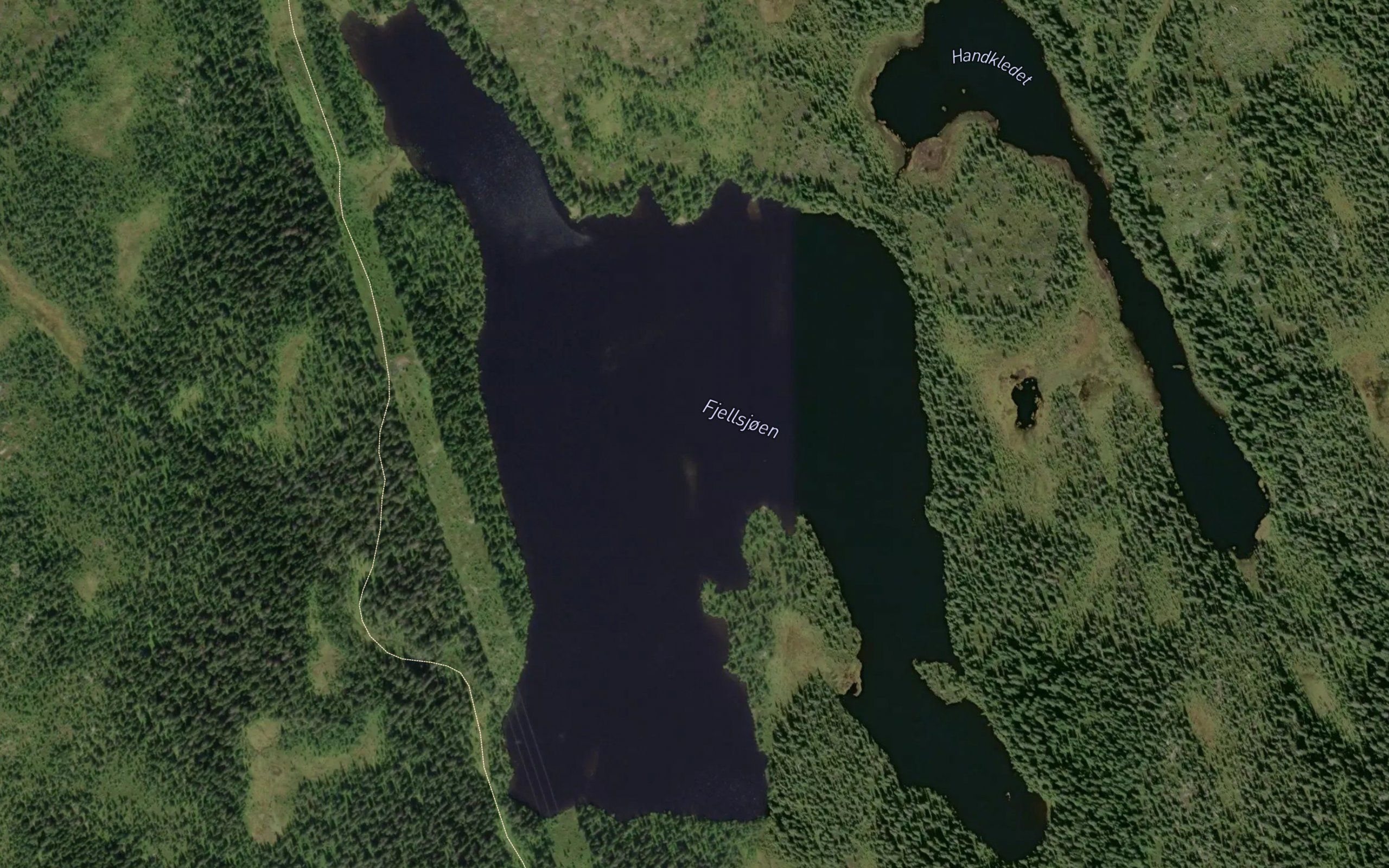 Fjellsjoen
