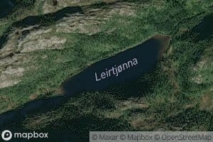Leirtjorna