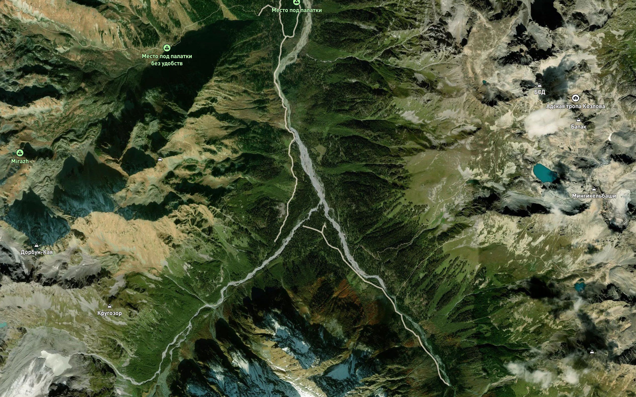 Amanauz