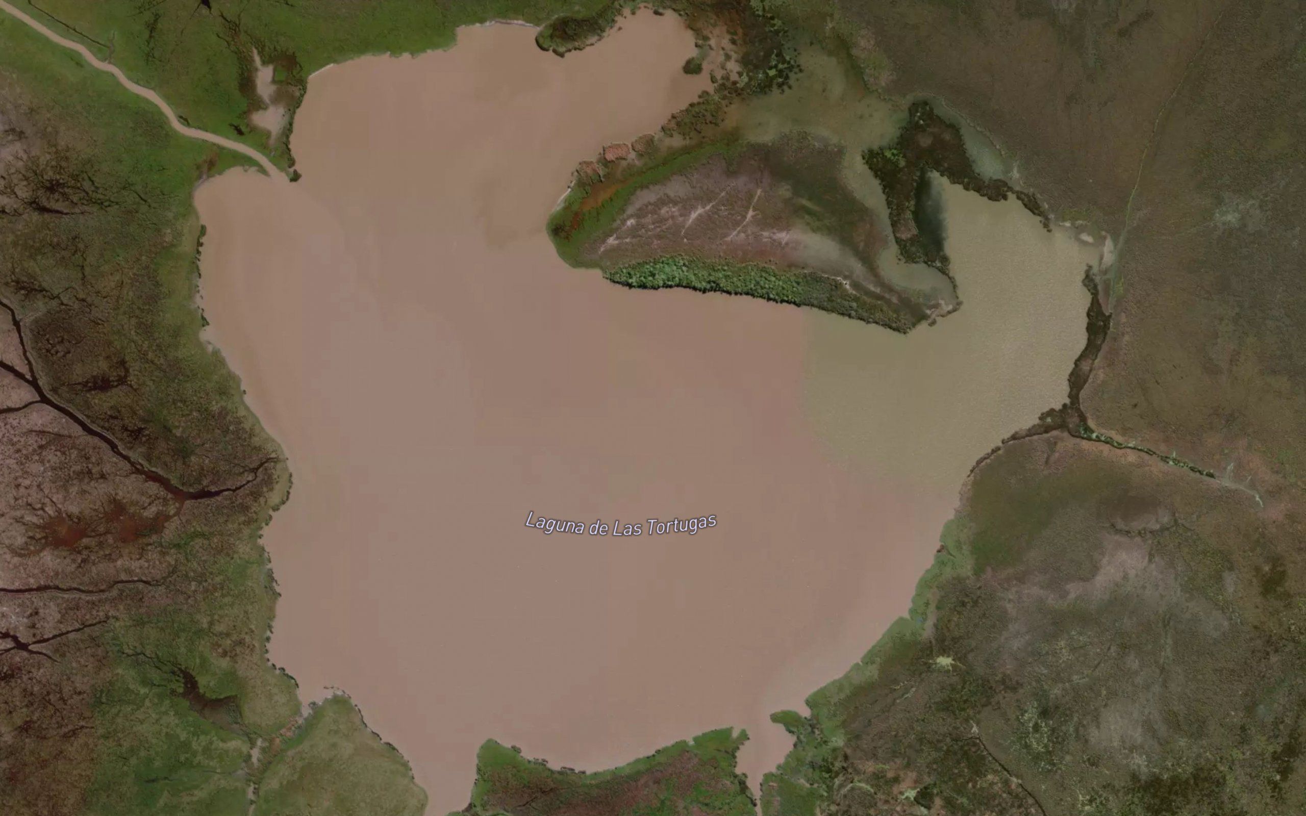 Laguna de las Tortugas